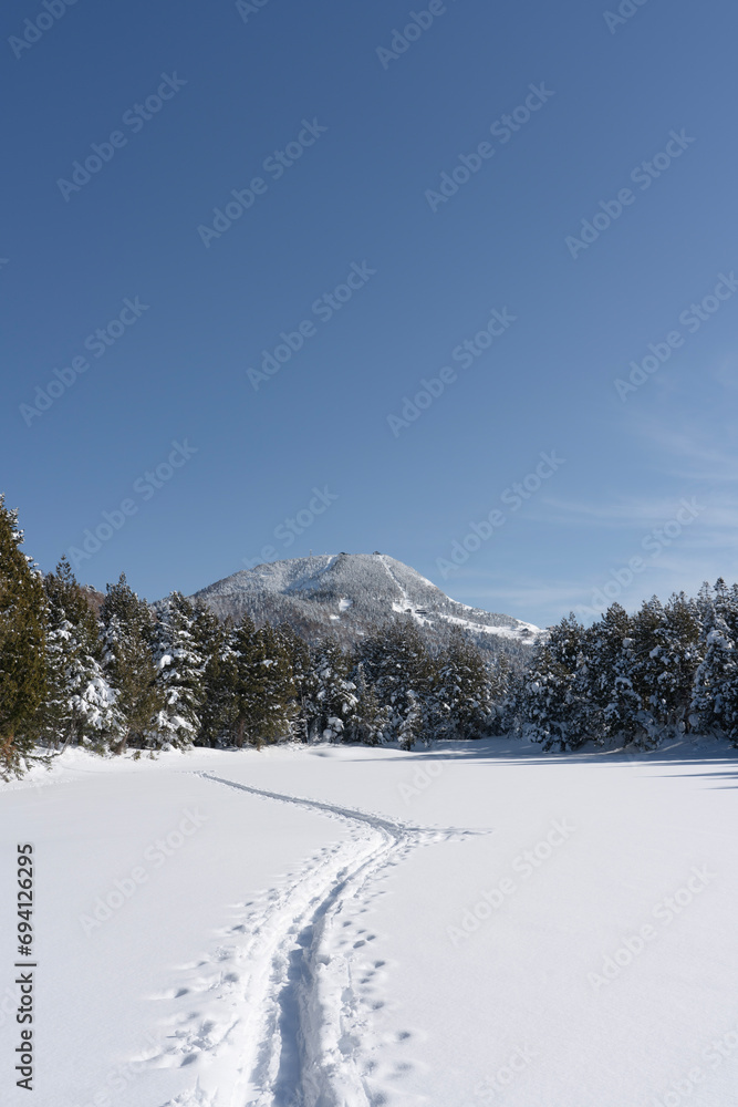 冬の志賀高原　横手山
