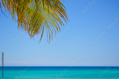 Fototapeta Naklejka Na Ścianę i Meble -  Coconut palm leaf against blue sea and beautiful beach tropical background. 