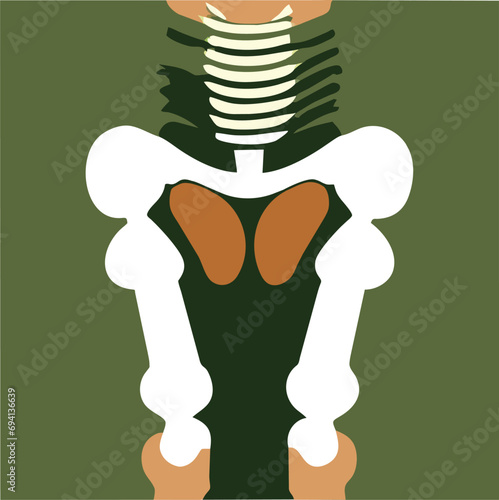 pelvis skeleton, icon