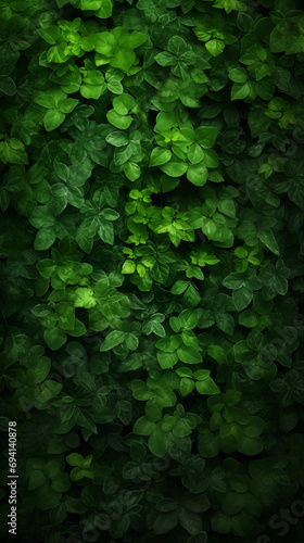greenery background photo