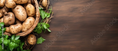 Top view of wicker basket with freshly harvested potatoes and a retro hand tool, promoting growing own vegetables and healthy food.