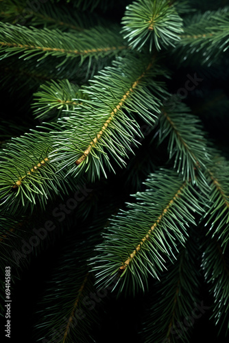 Lush Pine Needles Close-up