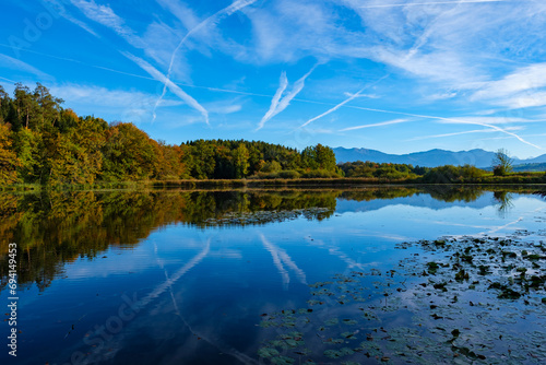 Forest with pond in autumn - Sempach, Switzerland