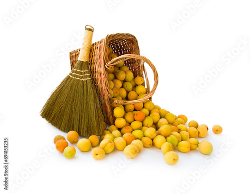 Basket with apricots and broom