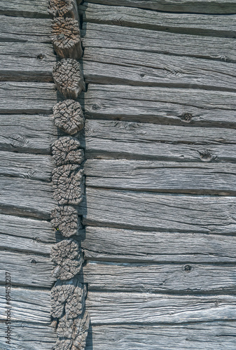 Part of a wooden wall with knots vertical