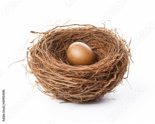 Bird nest with a small bird egg in it isolated on white background