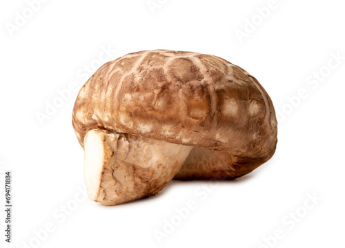 Shiitake mushrooms isolated on white background with clipping path and shadow in png file format. Chinese and Japanese herb plant