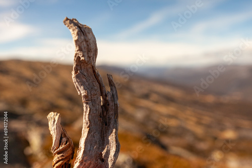 Kosciuszko National Park, NSW, Australia