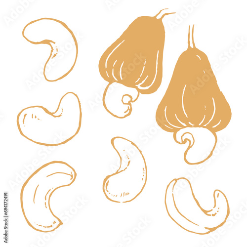 手描き風のカシューナッツのイラスト