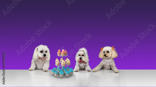 Canvas Print Birthday Party time dogs and cakes, cupcakes, and candy