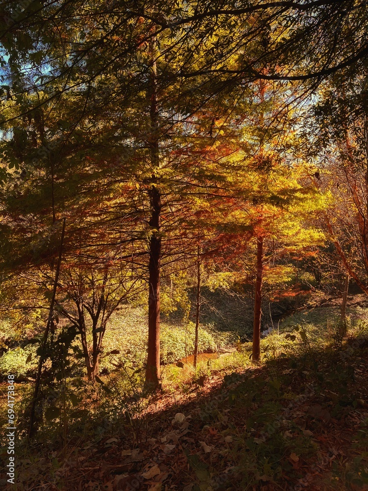 Obraz premium Golden sunset