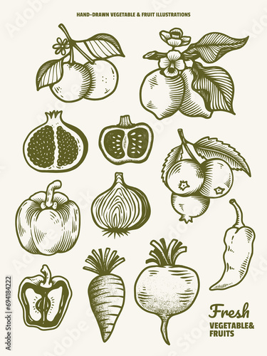 Hand Drawn Vegetable and Fruits Poster Illustrations Vector