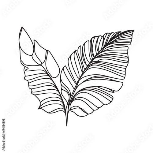 aesthetic decorative line art illustration of leaf, floral