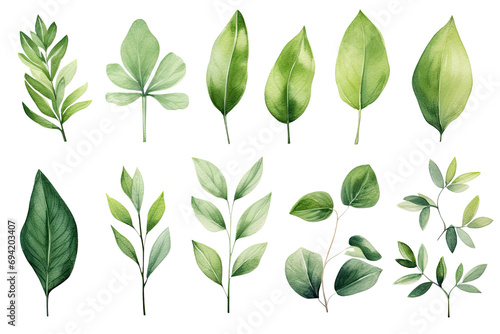 Set of Watercolor Tropical spring green leaves elements set isolated on transparent background, bouquets greeting or wedding card invitation, decoration clip art mock up. photo