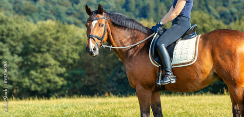 Vászonkép Horse with rider on a meadow, landscape format horse with saddle with rider in Horse with rider on a meadow, landscape format horse with saddle with rider in section