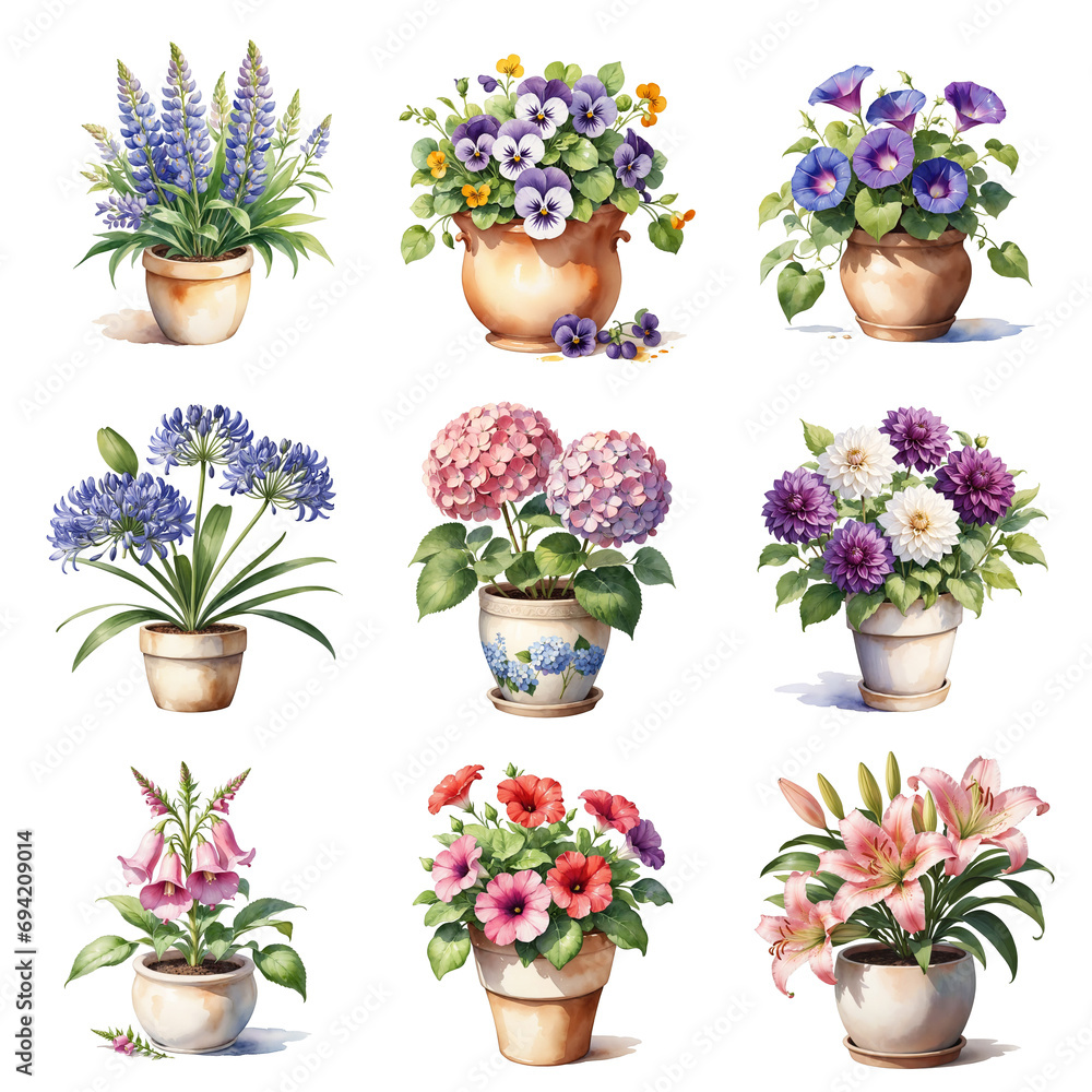 Collection of flowers in ceramic pot on white background, watercolor painting style, generative ai