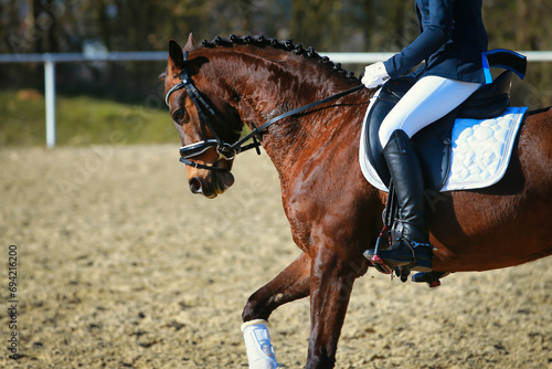 Horse on the warm-up arena with rider galloping, horse with a locking strap that is too tight and posed too narrowly.