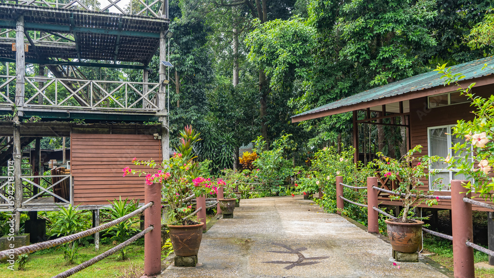 The concrete footpath is fenced with rope railings. Bright tropical flowers bloom in pots. The wooden cottages of the lodge are visible among the tropical vegetation. Malaysia. Borneo. Sandakan.