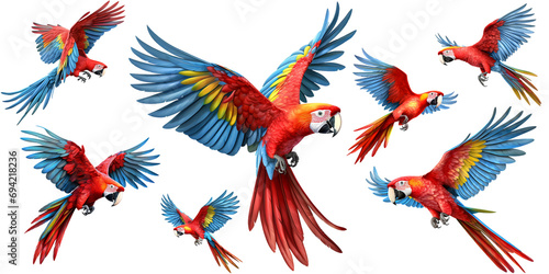 Scarlet Macaw PNG