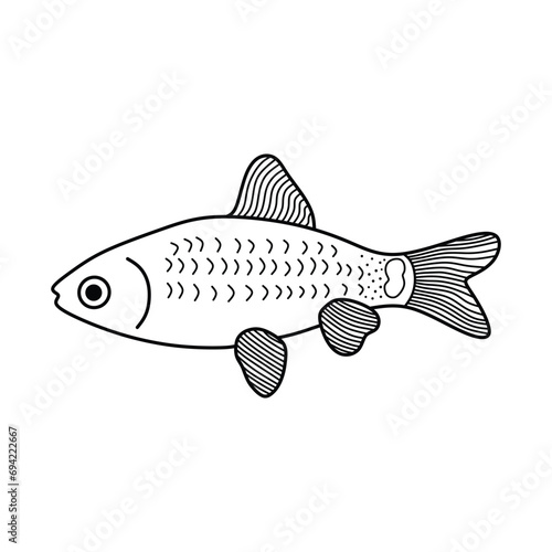 Hand drawn Cartoon Vector illustration gold chinise barb fish icon Isolated on White Background