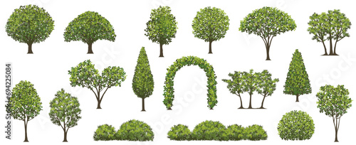 Vector Trees And Shrubs Illustration Set Isolated On A White Background.  photo