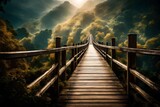 lavish long  wooden bridge going  towards deep green forest abstract bridge view from the top  