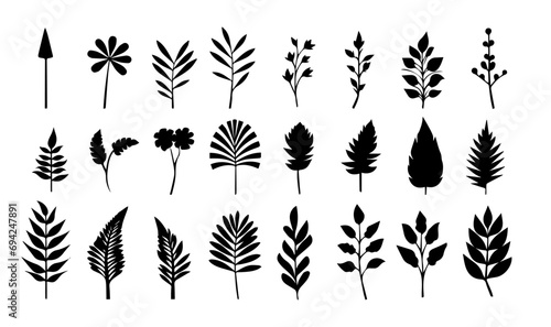 Set of black silhouettes of leaves and flowers. Vector illustration. photo