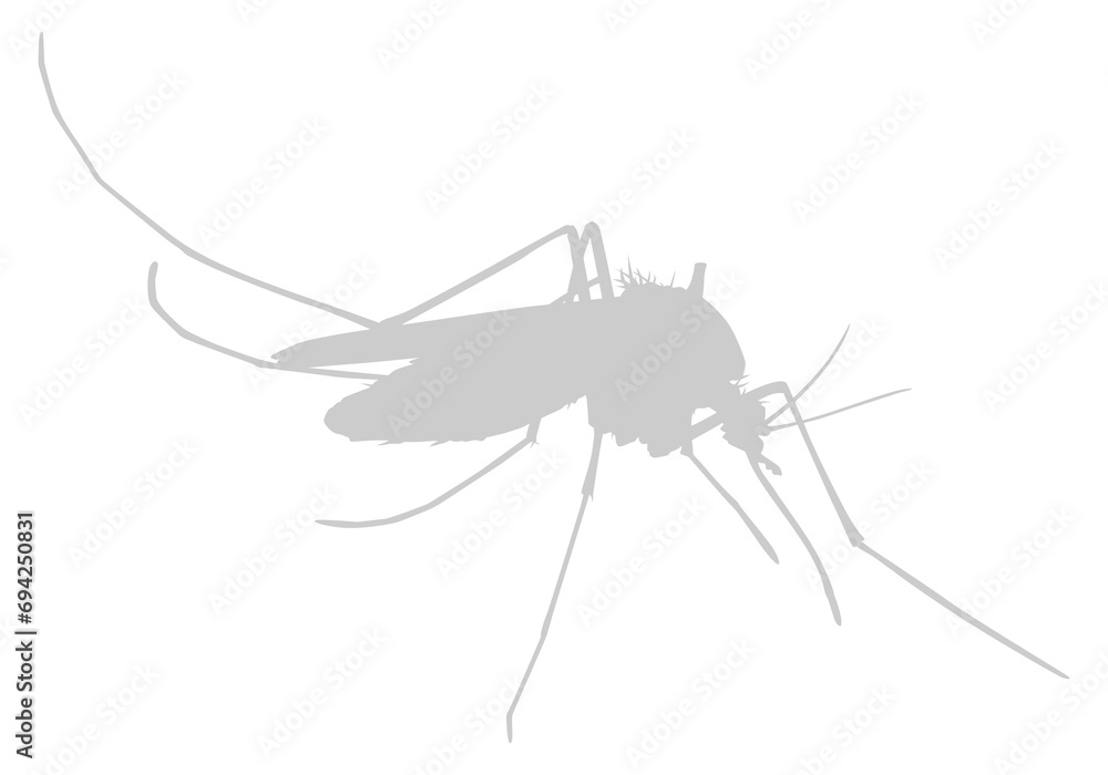 Mosquito Silhouette, can use for Art Illustration Pictogram, Website, and Graphic Design Element. Format PNG Mosquito Silhouette, can use for Art Illustration Pictogram, Website, and Graphic Design Element. Format PNG
