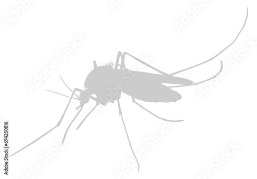 Mosquito Silhouette, can use for Art Illustration Pictogram, Website, and Graphic Design Element. Format PNG © Berkah Visual