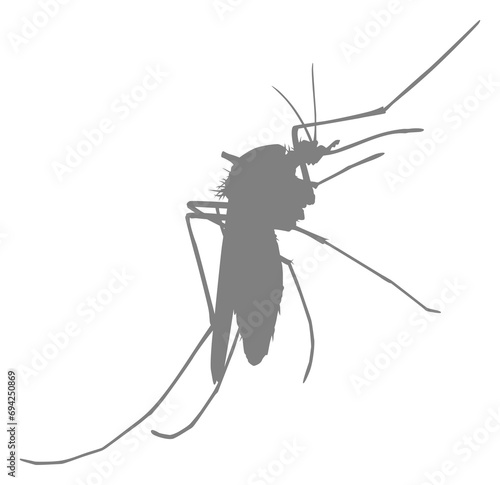 Mosquito Silhouette, can use for Art Illustration Pictogram, Website, and Graphic Design Element. Format PNG