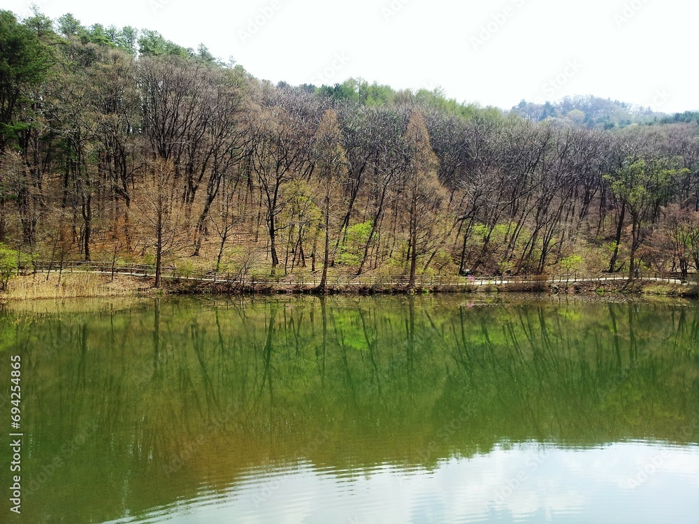 국립수목원 수려한 봄풍경 - Spring scenery (Yukrim lake, Gwangneung forest, Korea National Arboretum, South Korea)
