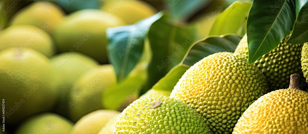 Close up of Breadfruit on a market stall. Close up of Breadfruit on a market stall.