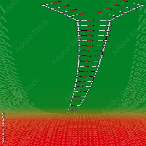 ACGT 11