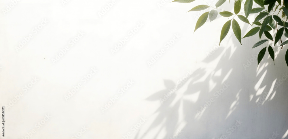 leaves and shadow of plants with sunlight, on white wall texture