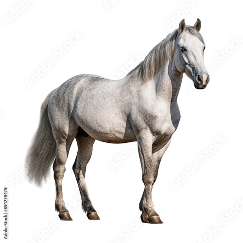 Horse clip art © Alexander