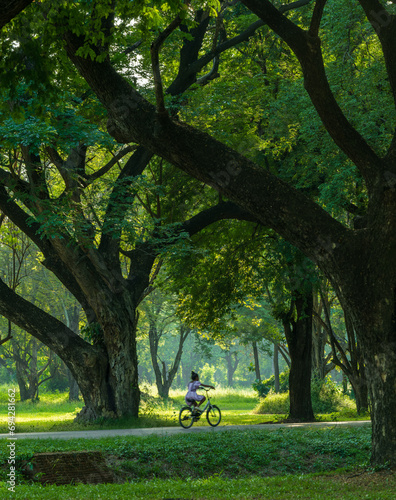 A blurred child riding bike in green forest.