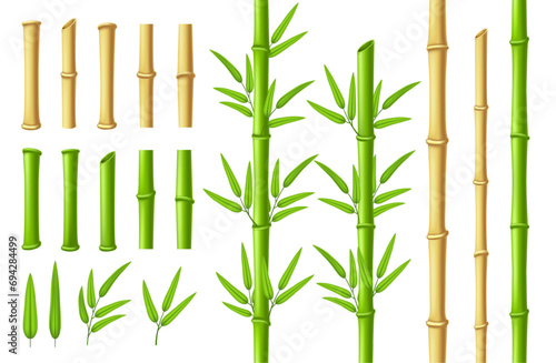 Fototapeta Naklejka Na Ścianę i Meble -  Bamboo stems and leaves. Zen garden verdant bamboo stick with 3D green leaf isolated vector illustration set