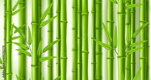 Fototapeta Naklejka Na Ścianę i Meble -  Bamboo background. Lush bamboo zen grove, natural green stems wall with leaves vector illustration backdrop