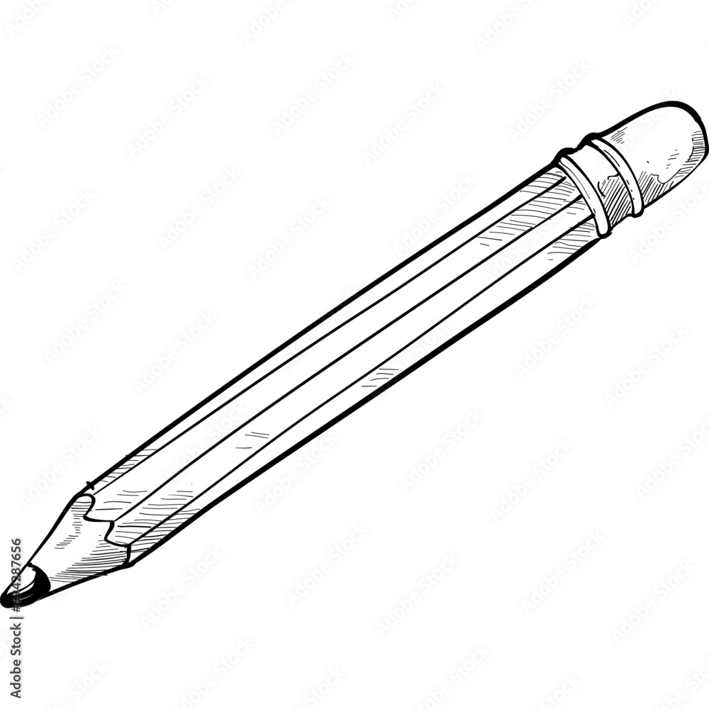 pencil handdrawn illustration pencil handdrawn illustration