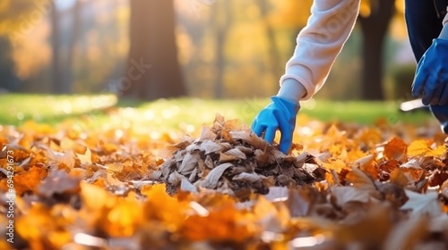 Human hands wearing gloves sweep fallen leaves on the lawn in the autumn park.