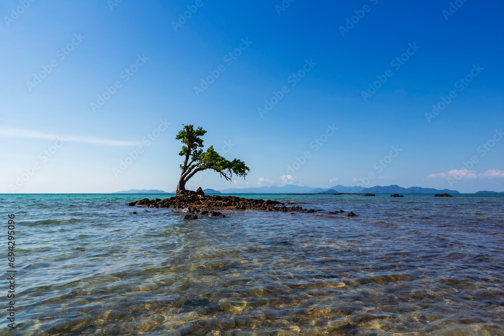 Scenic view of tropical coconut palm trees landscape on the island in Koh Kradad at Koh Mak, Trat province, in the Gulf of Thailand.