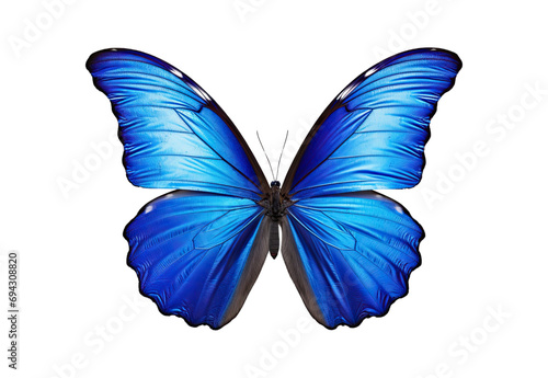 Blue_butterfly_closeup_smile_No_shadows_highest © I Love Png
