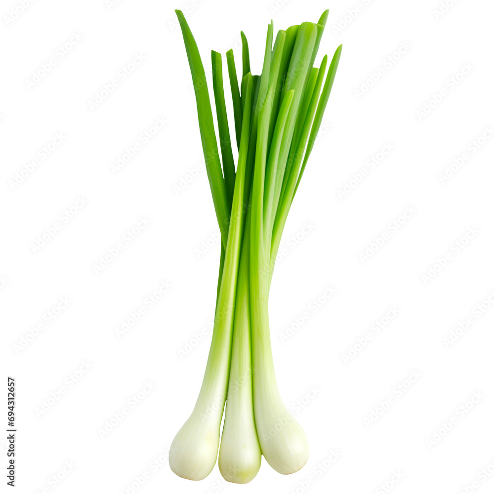 spring onion on a transparent background spring onion on a transparent background
