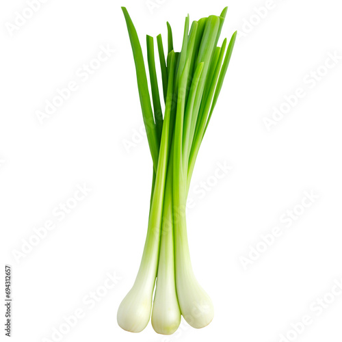 spring onion on a transparent background