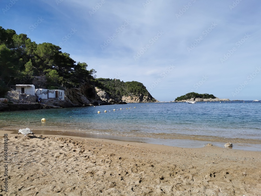 beach with trees in Ibiza