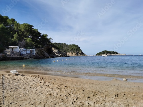 beach with trees in Ibiza