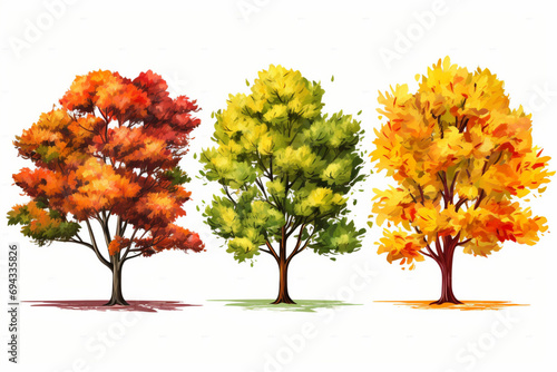 Three autumn tree isolated on white background