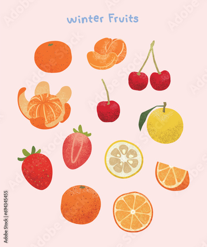 colored pencil like winter fruit illustration