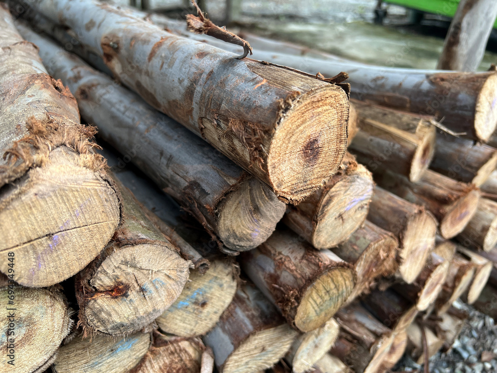 close up stack of wood logs close up stack of wood logs