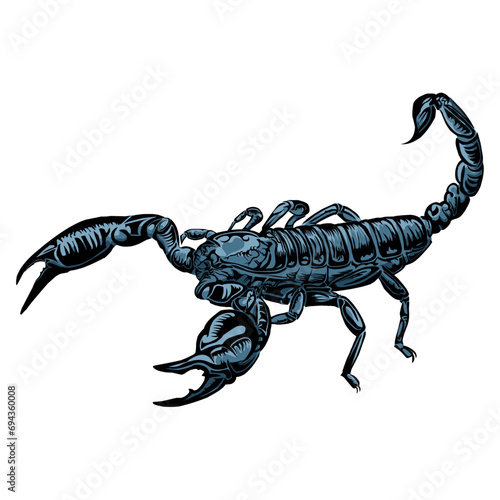 scorpion isolated on white